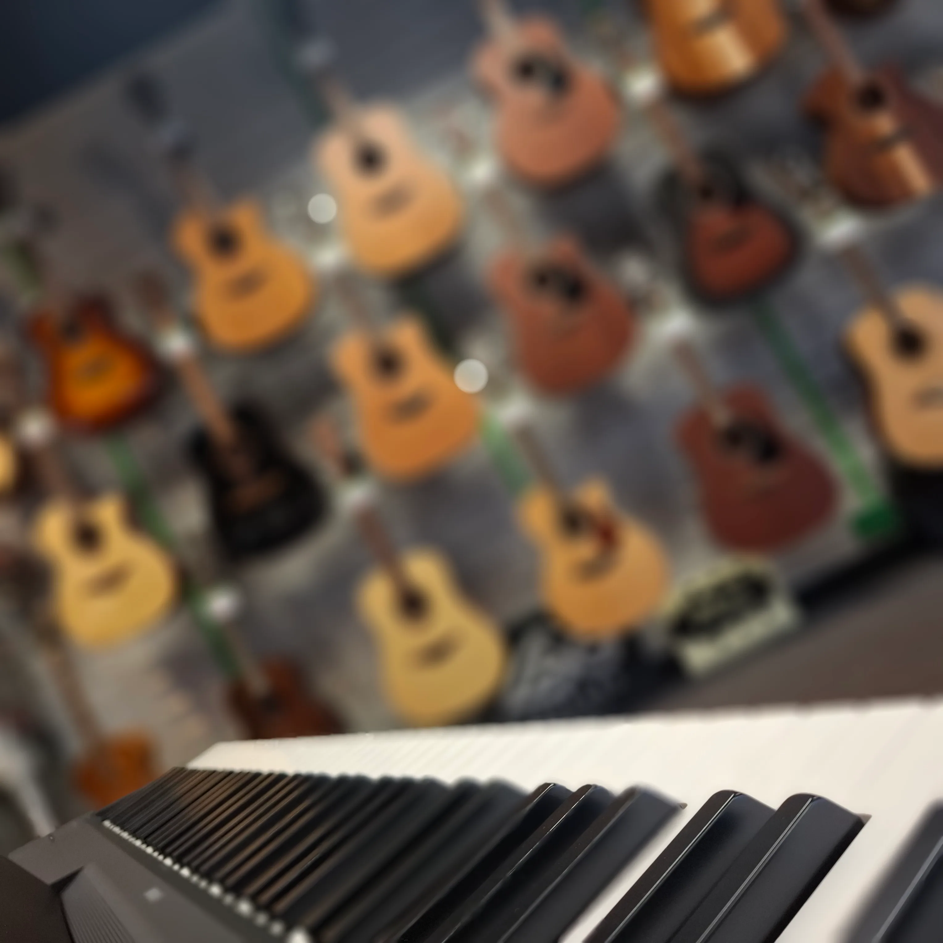 Bass and guitar display in store